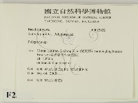 多孔菌屬藏品圖，第2張