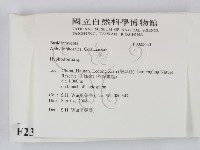 絲齒菌屬藏品圖，第2張