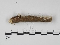 登錄號:F0023634藏品圖，第3張