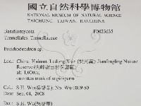 登錄號:F0023635藏品圖，第2張