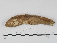 登錄號:F0023635藏品圖，第1張