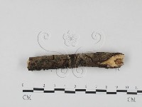 登錄號:F0023637藏品圖，第4張