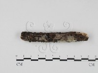 登錄號:F0023637藏品圖，第5張