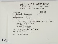 顯絲菌屬藏品圖，第2張