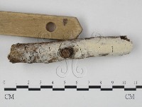 登錄號:F0023639藏品圖，第3張