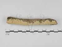 登錄號:F0023640藏品圖，第1張