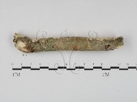 登錄號:F0023640藏品圖，第4張