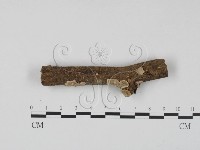 登錄號:F0023641藏品圖，第1張