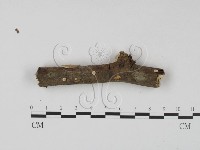 登錄號:F0023641藏品圖，第4張