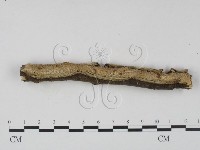 登錄號:F0023642藏品圖，第1張