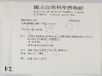 登錄號:F0023643藏品圖，第2張