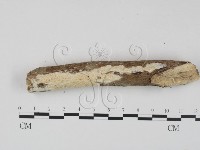 登錄號:F0023643藏品圖，第1張