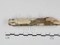 登錄號:F0023643藏品圖，第3張