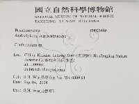 登錄號:F0023646藏品圖，第2張