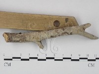 登錄號:F0023646藏品圖，第1張