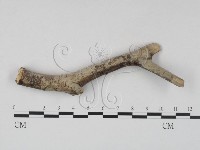 登錄號:F0023646藏品圖，第3張