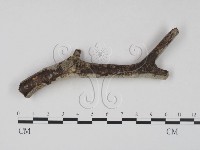 登錄號:F0023646藏品圖，第4張