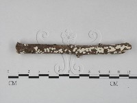 登錄號:F0023647藏品圖，第1張