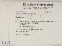 登錄號:F0023648藏品圖，第2張