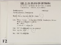 剛毛絲皮菌藏品圖，第2張