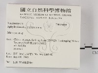 小孔菌屬藏品圖，第2張