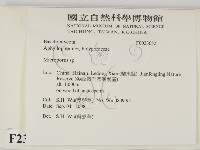 小孔菌屬藏品圖，第2張