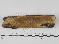 登錄號:F0023653藏品圖，第1張