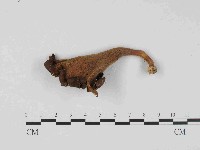 登錄號:F0023654藏品圖，第1張