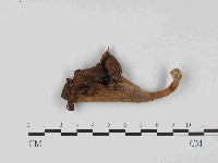 登錄號:F0023654藏品圖，第3張