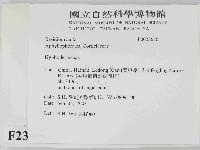 絲皮菌屬藏品圖，第2張