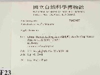 絲齒菌屬藏品圖，第2張