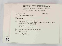 絲皮菌屬藏品圖，第2張