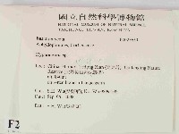 絲皮菌屬藏品圖，第2張