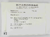 絲皮菌屬藏品圖，第2張