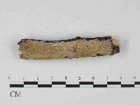 登錄號:F0023664藏品圖，第1張