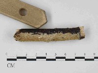 登錄號:F0023664藏品圖，第3張