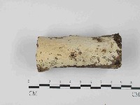 登錄號:F0023666藏品圖，第1張