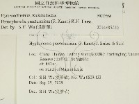 登錄號:F0023668藏品圖，第2張