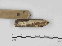 登錄號:F0023668藏品圖，第1張