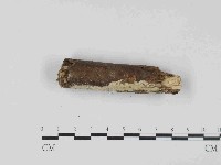 登錄號:F0023668藏品圖，第3張