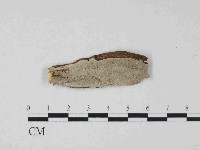 登錄號:F0023670藏品圖，第1張