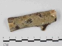 登錄號:F0023671藏品圖，第1張