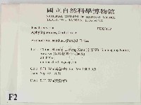 冇骨消絲齒菌藏品圖，第2張