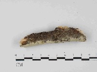 登錄號:F0023673藏品圖，第3張