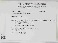 登錄號:F0023674藏品圖，第2張