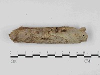 登錄號:F0023674藏品圖，第1張