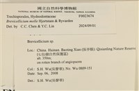 登錄號:F0023674藏品圖，第3張