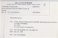 登錄號:F0023674藏品圖，第4張