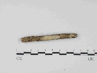 登錄號:F0023675藏品圖，第1張