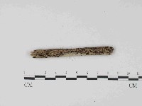 登錄號:F0023675藏品圖，第3張